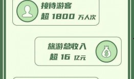 粉球最新爆料视频大全集,揭秘幕后真相，带你走进事件核心