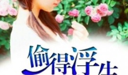 偷此一生在线观看,一场跨越时空的盗梦之旅